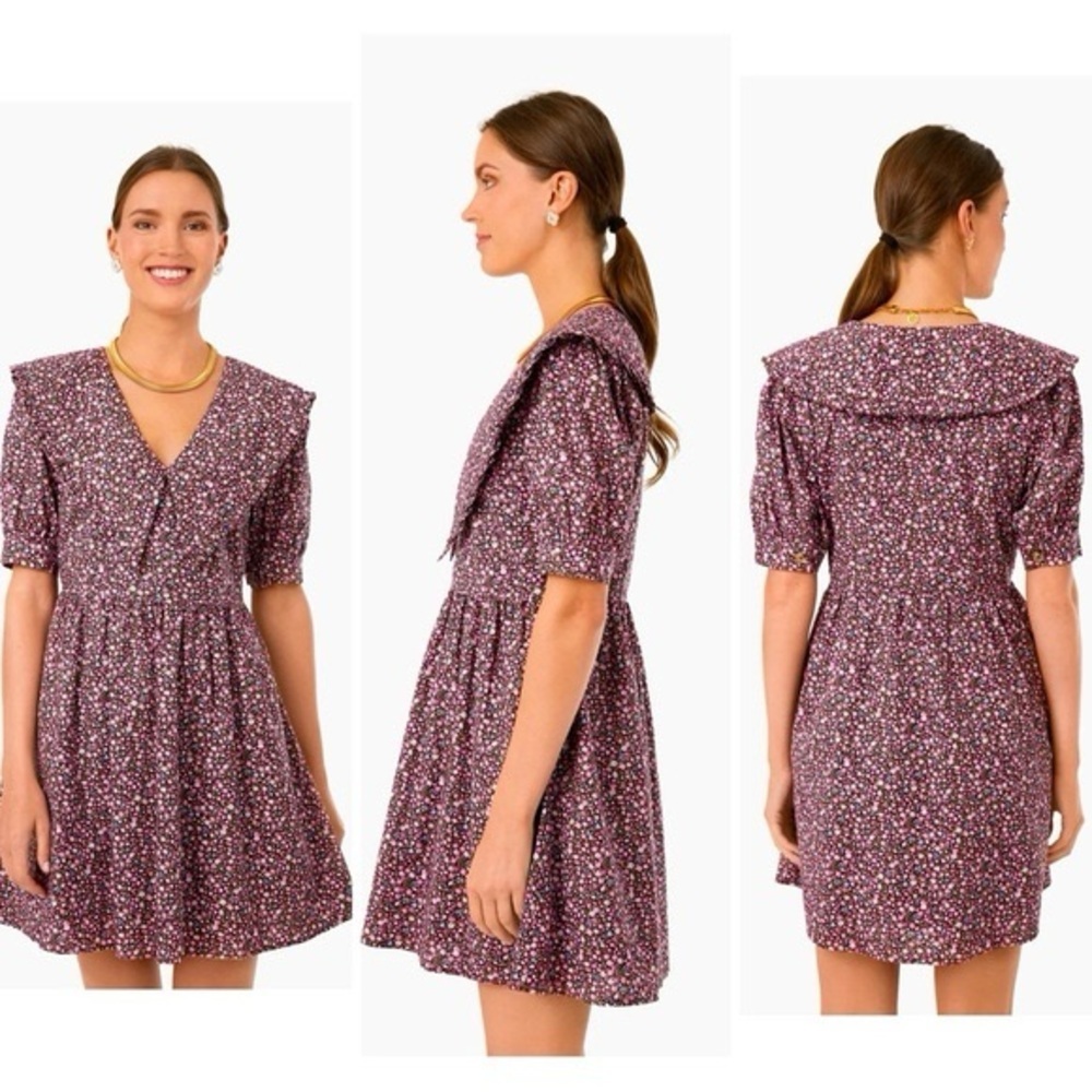 Tuckernuck Hy­acinth House Maroon Ruffle Collar Sadie Mini Dress - S